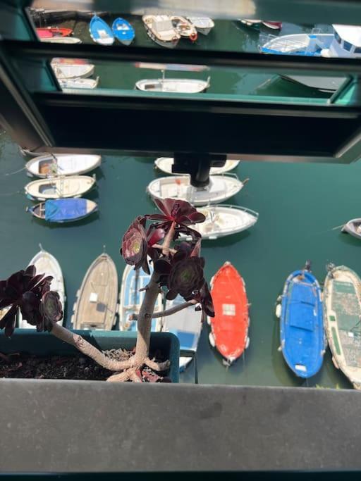 Attico Sul Porticciolo Antico Di Camogli Apartment ภายนอก รูปภาพ
